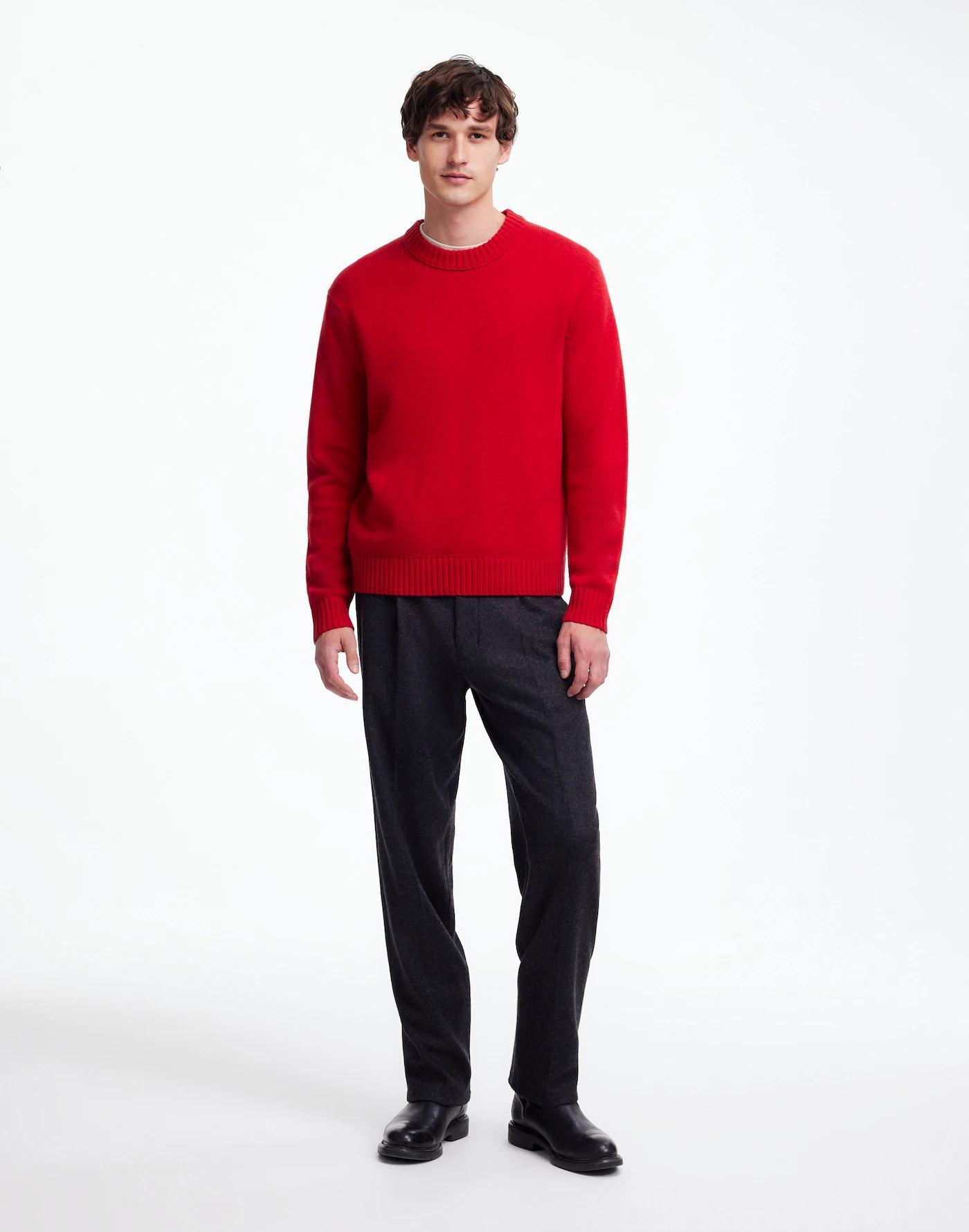 Crewneck Sweater in SoftWool Product Image