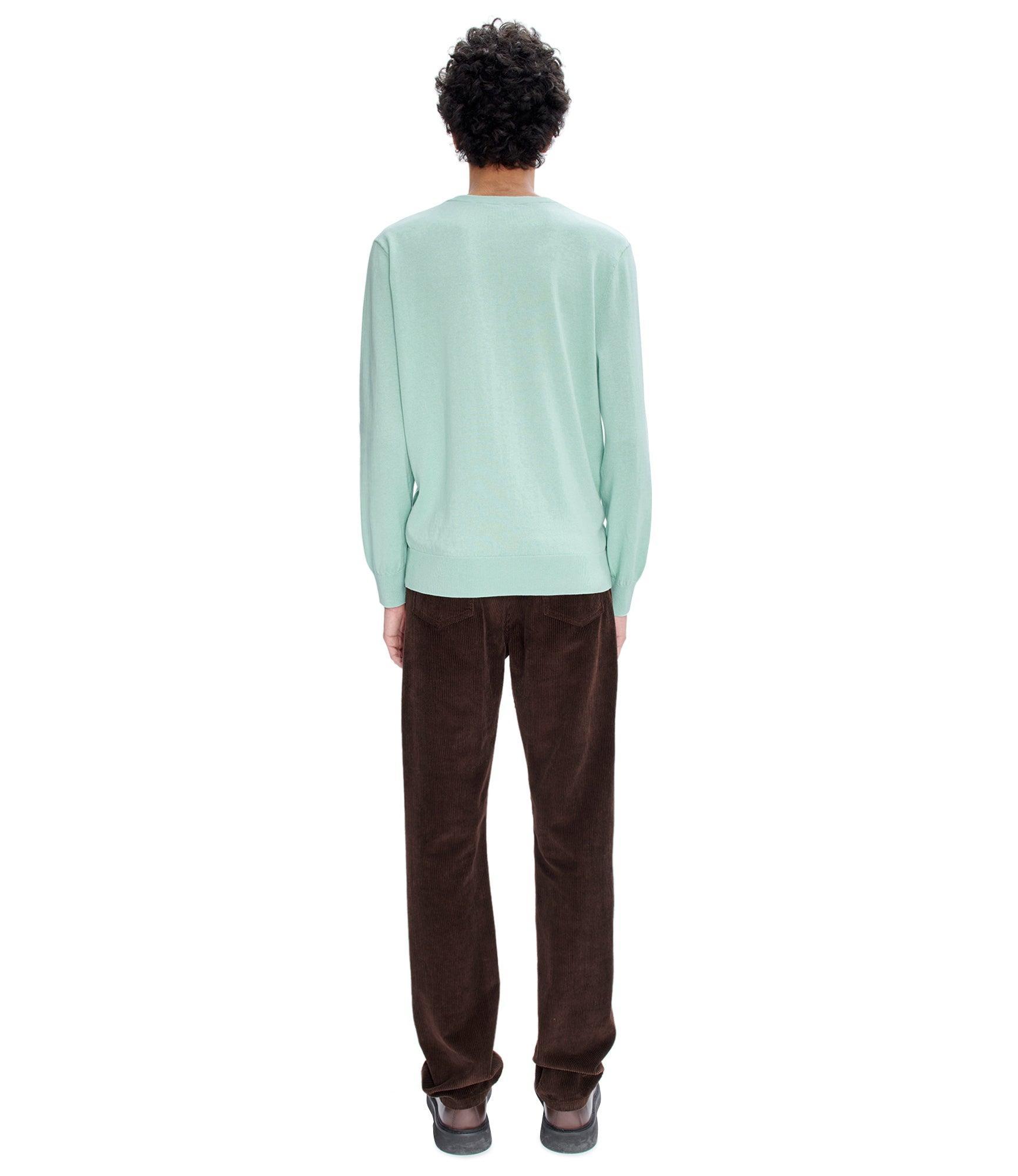 Standard pants Male Product Image