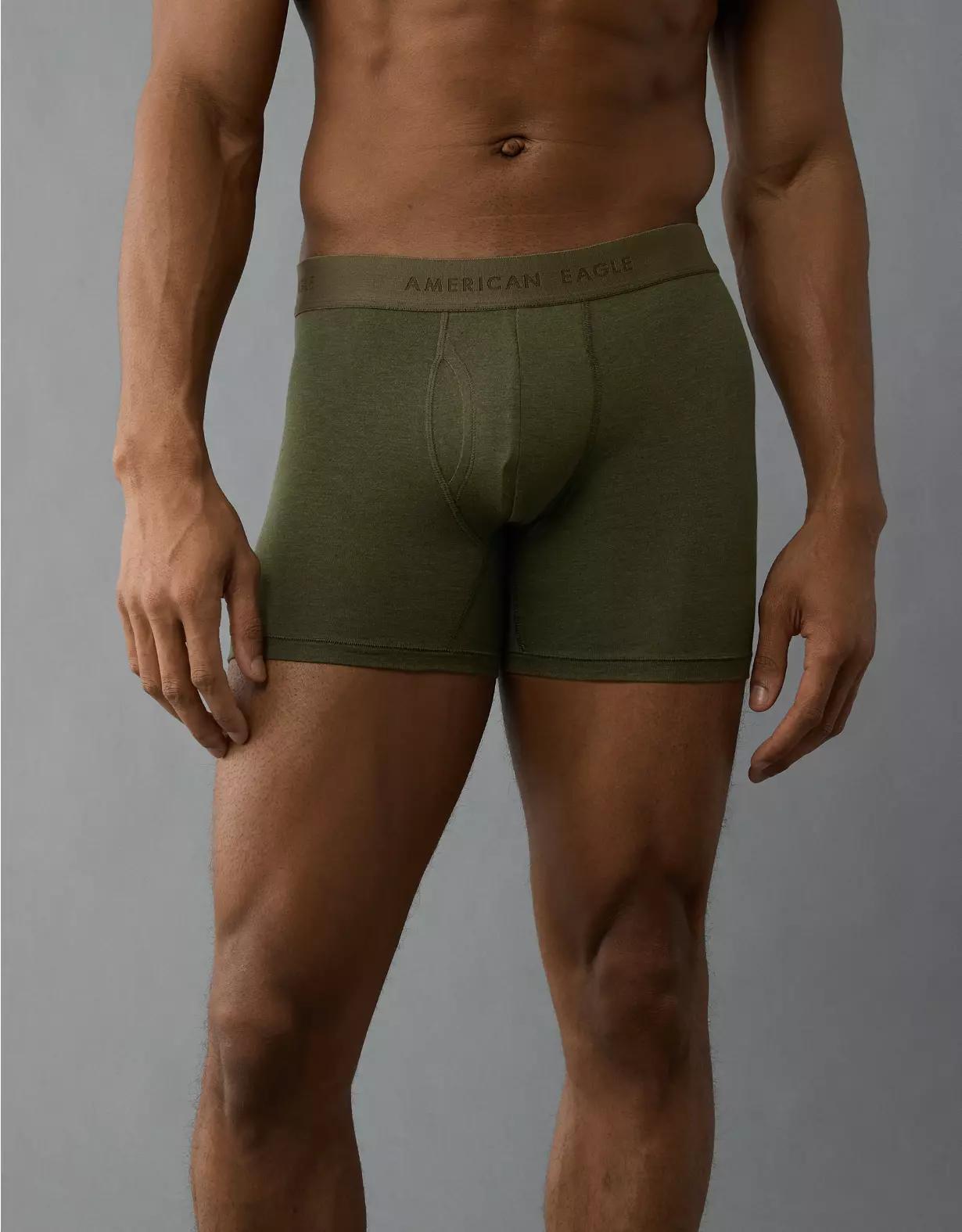 AEO Men's 4.5" Classic Boxer Brief Product Image
