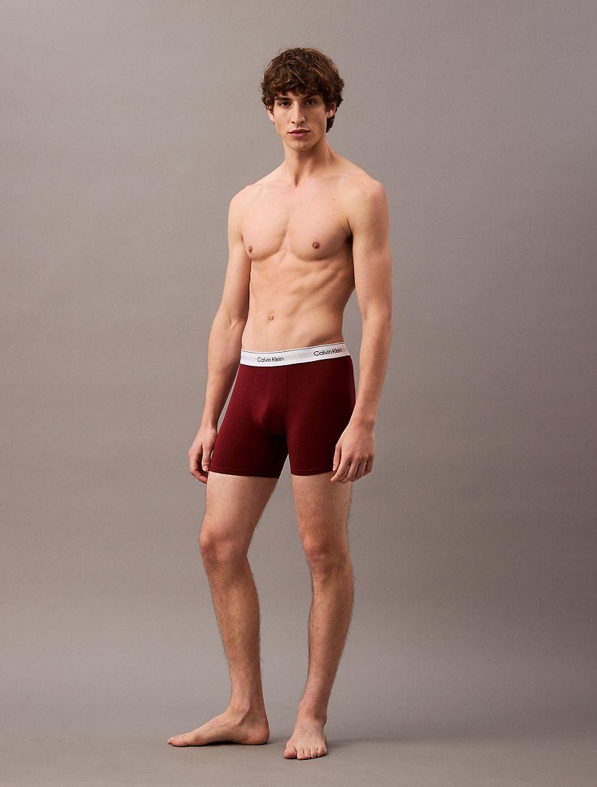 Modern Cotton Stretch 5-Pack Boxer Brief Product Image