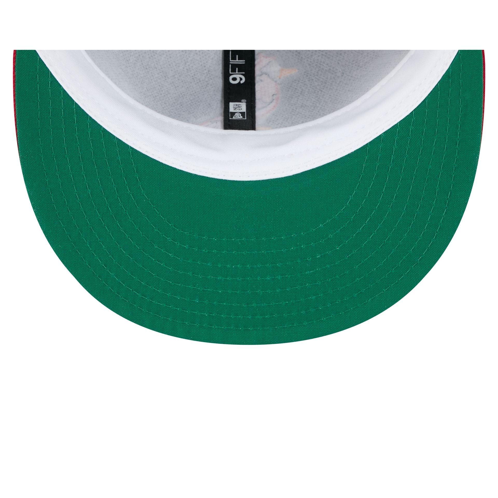 Minnesota Twins Hall of Fame 2025 Retro Crown 9FIFTY Snapback Hat Male Product Image