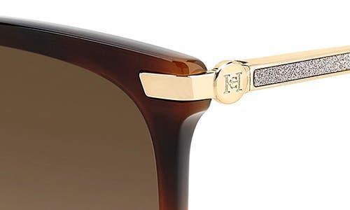 CAROLINA HERRERA 55mm Gradient Rectangular Sunglasses In Havana/brown Sf Product Image