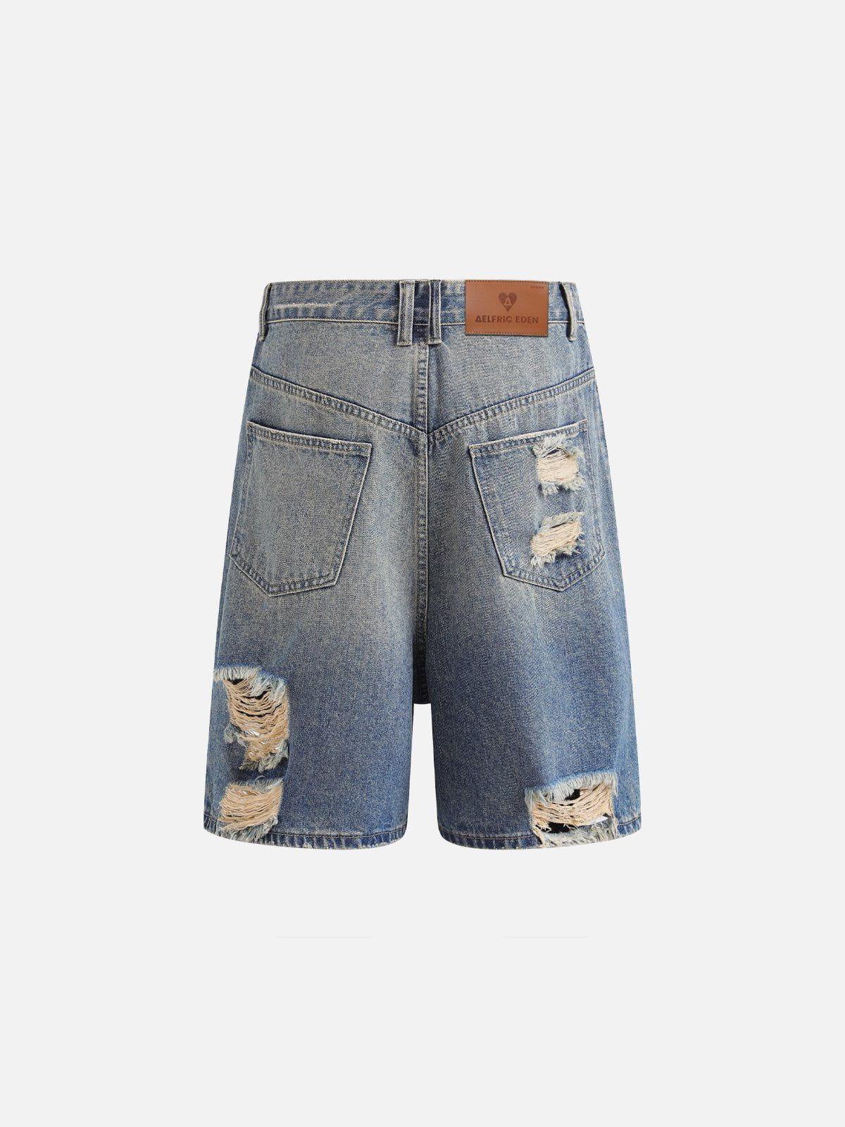 Aelfric Eden Multi Distressed Jorts Product Image