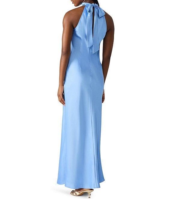 Steve Madden Lara High Neck Sleeveless Maxi Dress Product Image