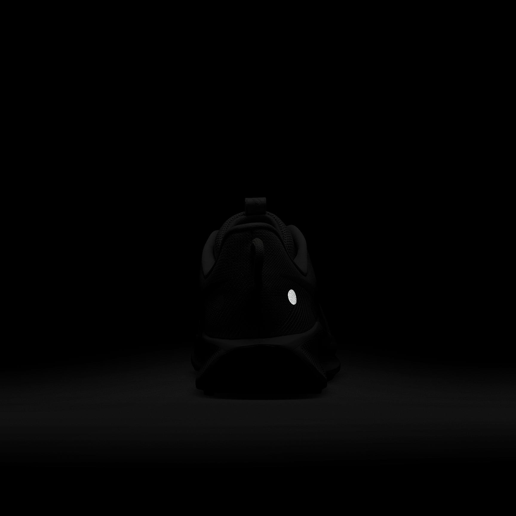 Nike Mens Pegasus Trail 5 Trail Running Shoes | DV3864-008 Product Image