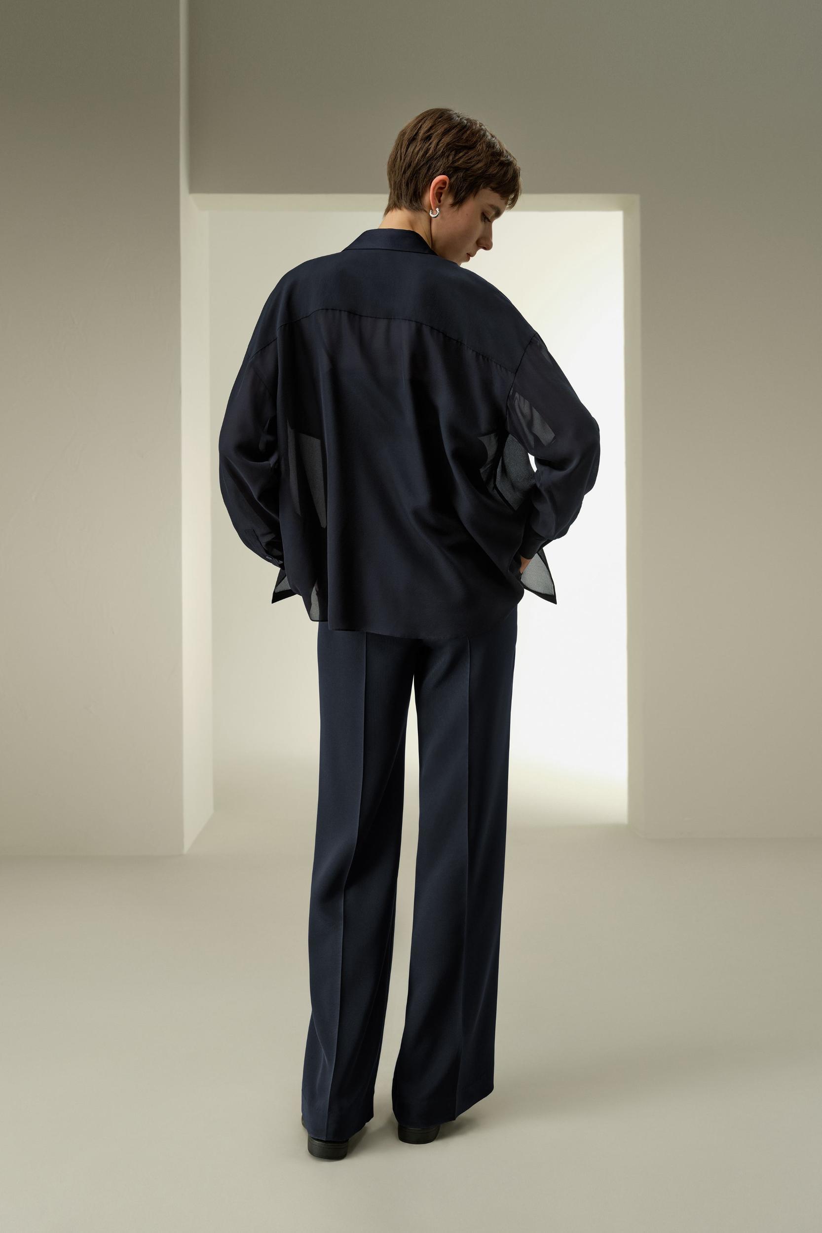 Semi-Sheer Silk Chiffon Blouse Product Image