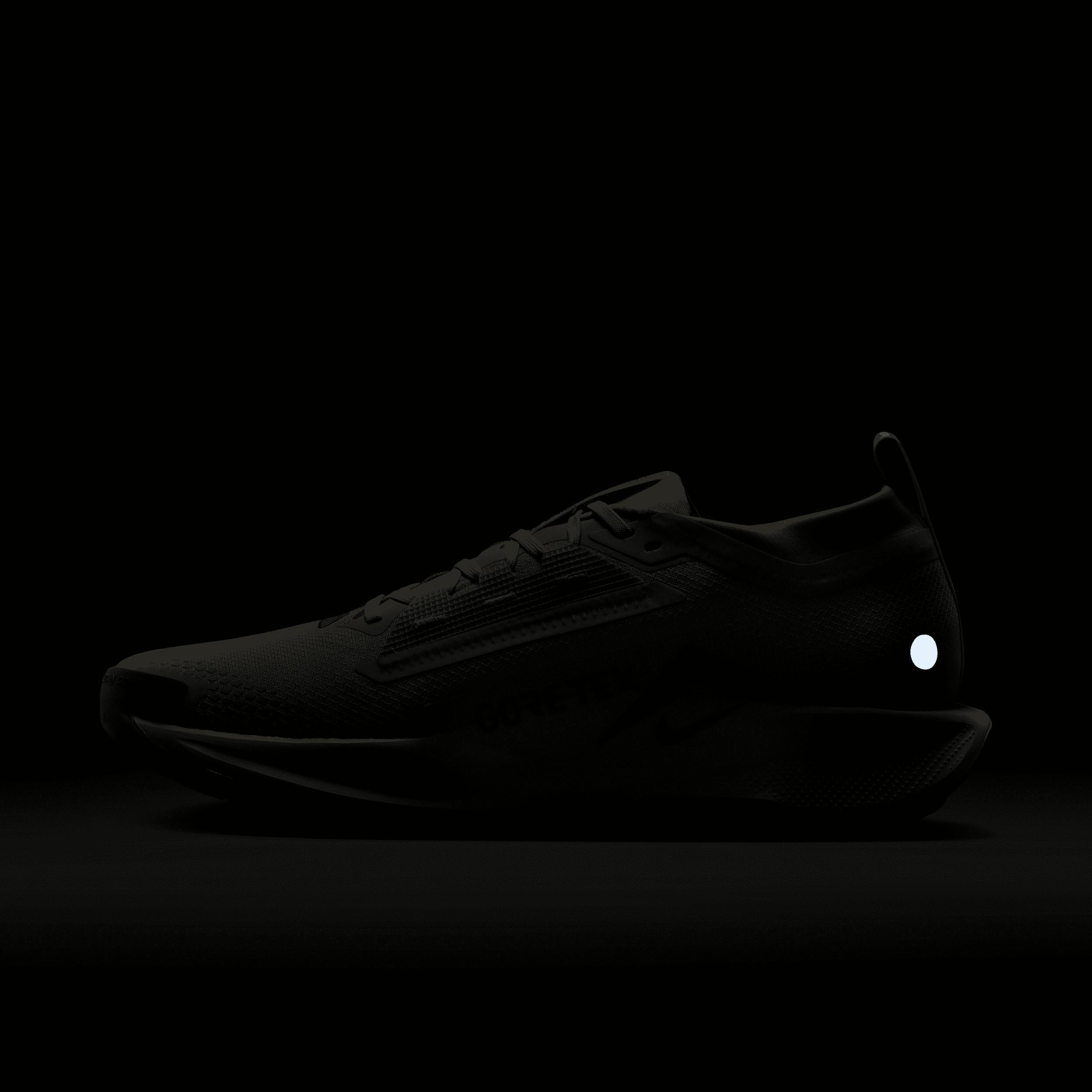 Nike Men's Pegasus Trail 5 GORE-TEX Waterproof Trail Running Shoes Product Image