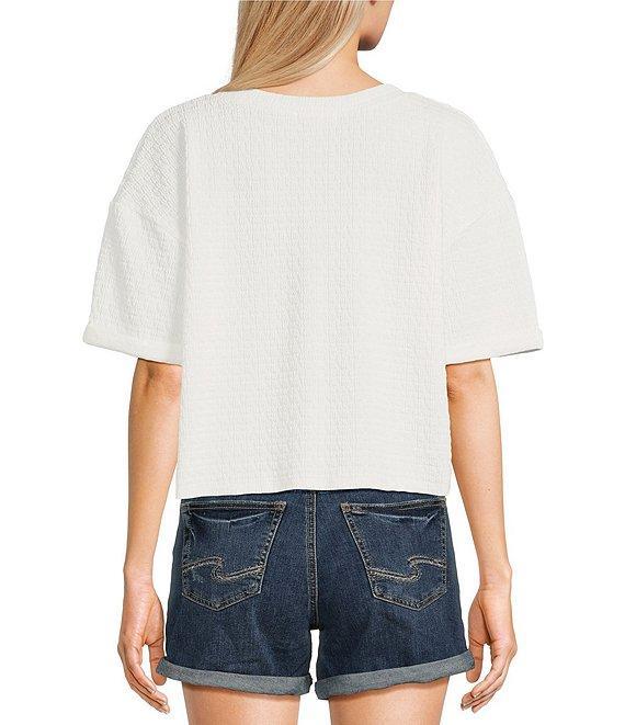 Moa Moa Striped V-Neck Short Sleeve Cropped Top Product Image