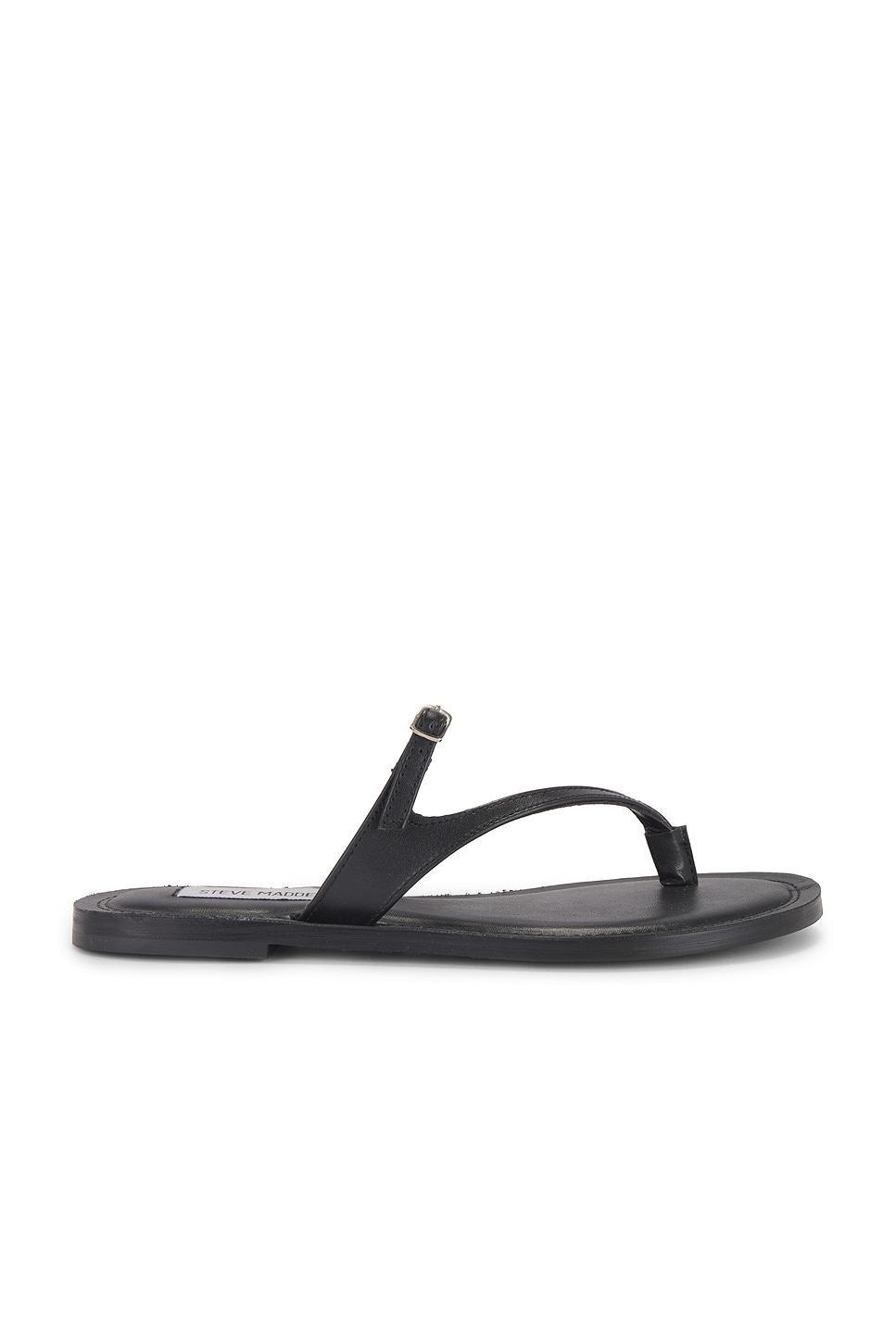 Roca Sandal Steve Madden Product Image