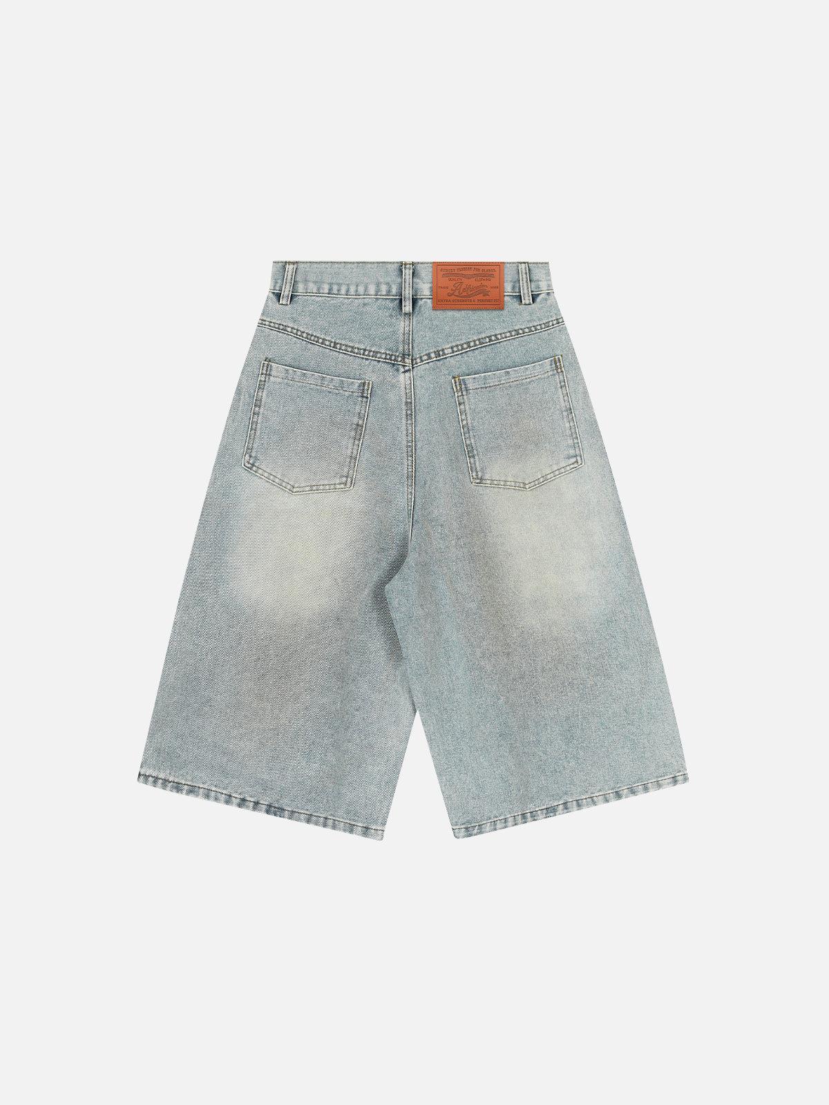 Aelfric Eden Splash-Ink Washed Jorts Product Image