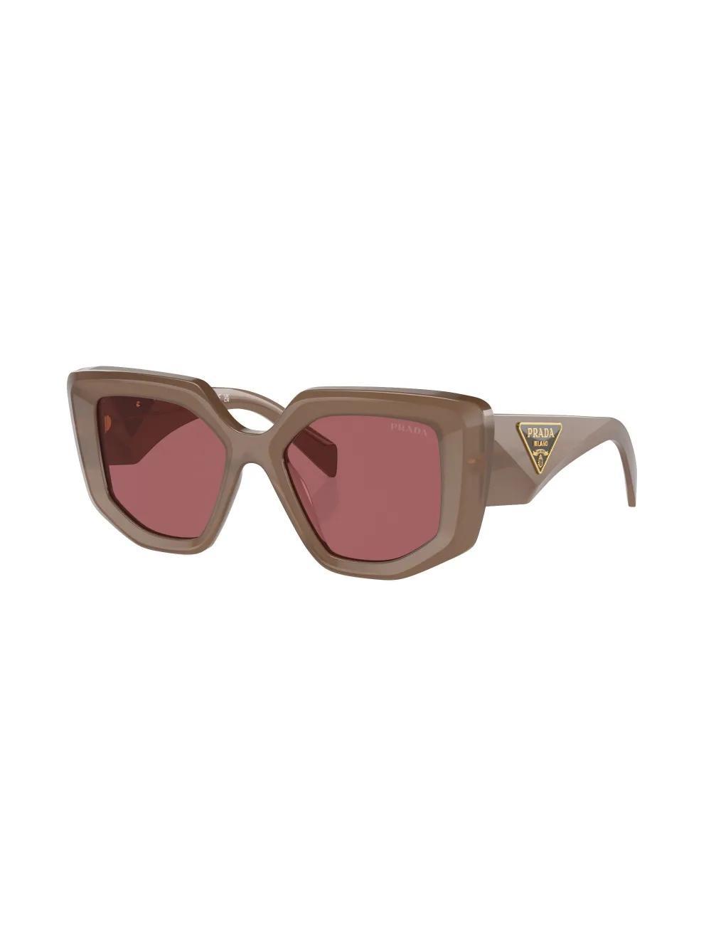 PRADA Pr 14zs Acetate Butterfly Sunglasses In Brown Product Image