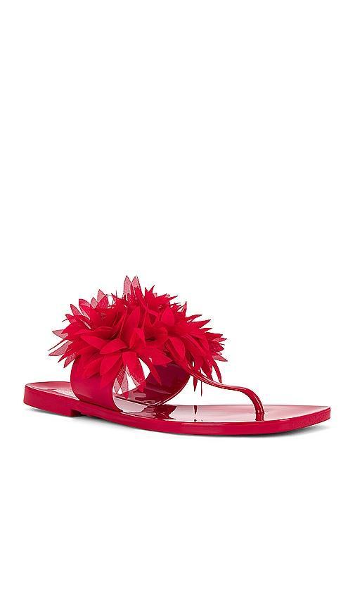 Pollinate Sandal Product Image