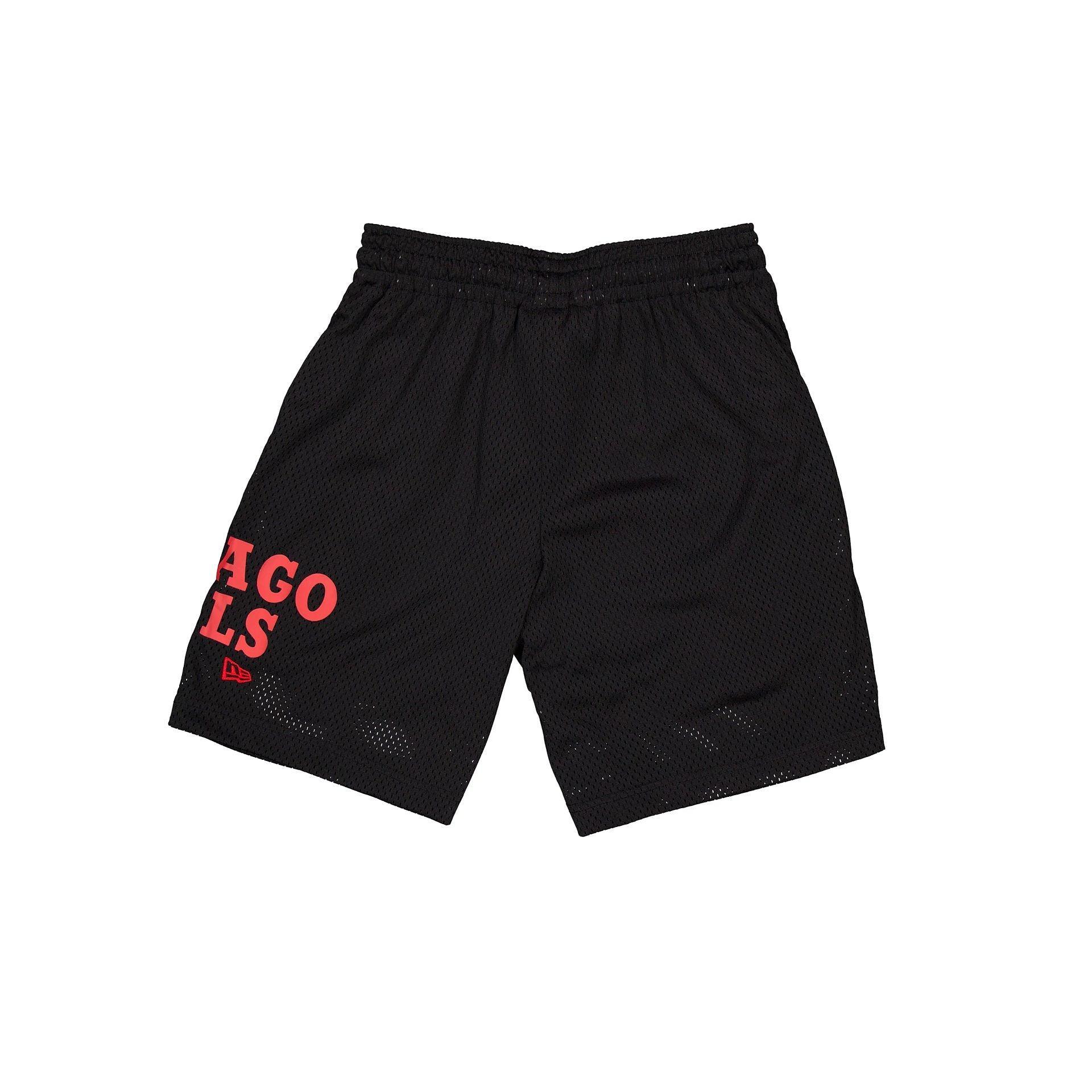 Chicago Bulls Mesh Shorts Male Product Image