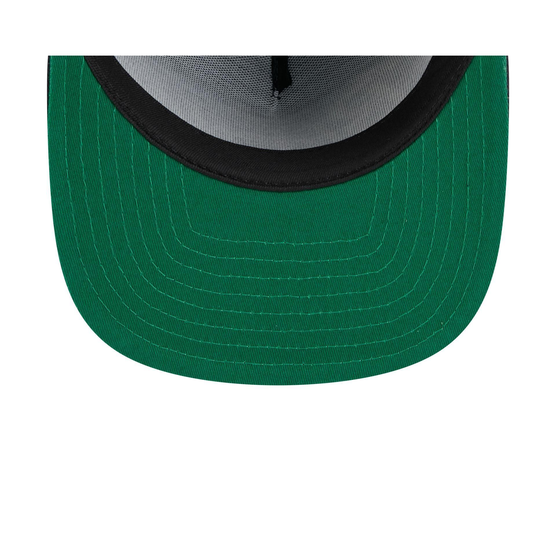 Houston Astros Craig Biggio 9FIFTY A-Frame Snapback Hat Male Product Image