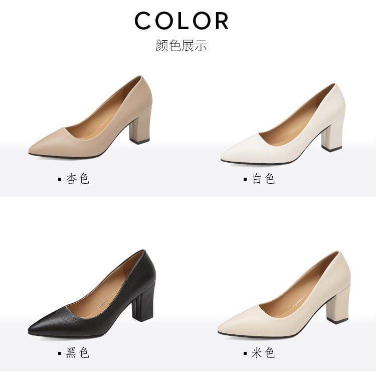 Block Heel Pointed Plain Pumps Product Image