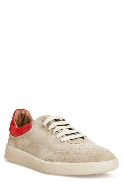 Bruno Magli Mens Leather Savio Sneakers Product Image