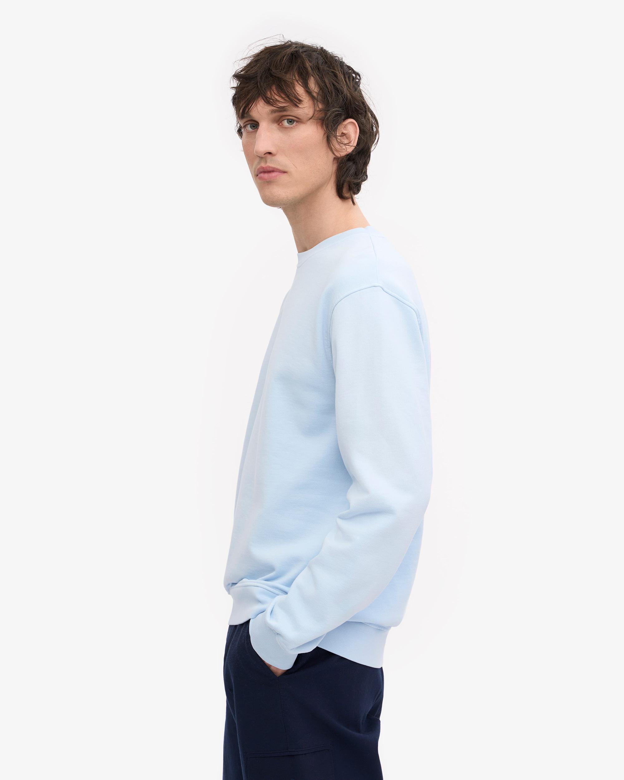 Classic Organic Crew - Polar Blue Product Image