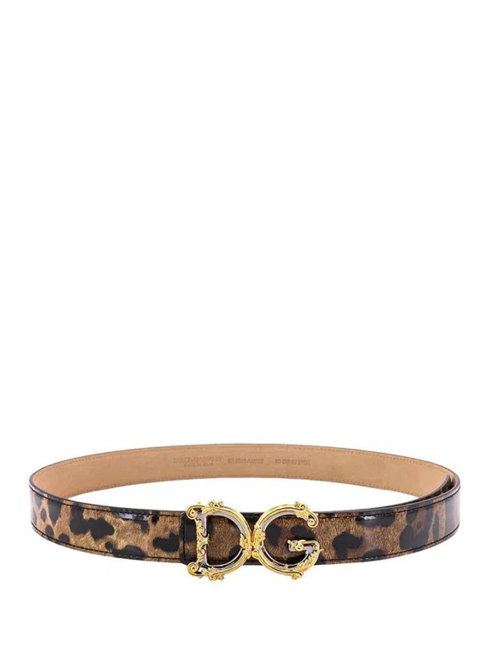 DOLCE & GABBANA Belts In Multicolor Product Image