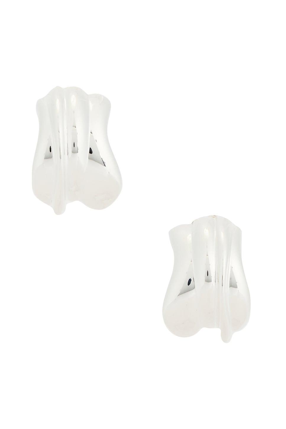 Stud Earrings Product Image