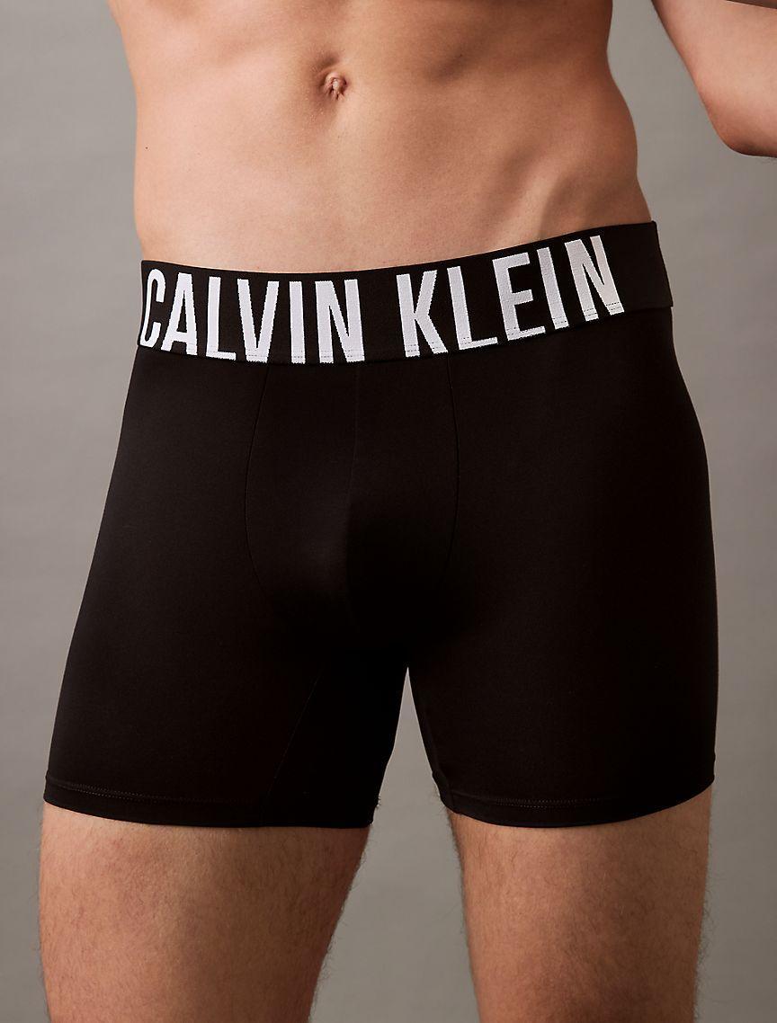 Calvin Klein Mens Intense Power Micro 3-Pack Boxer Brief - Blue Product Image