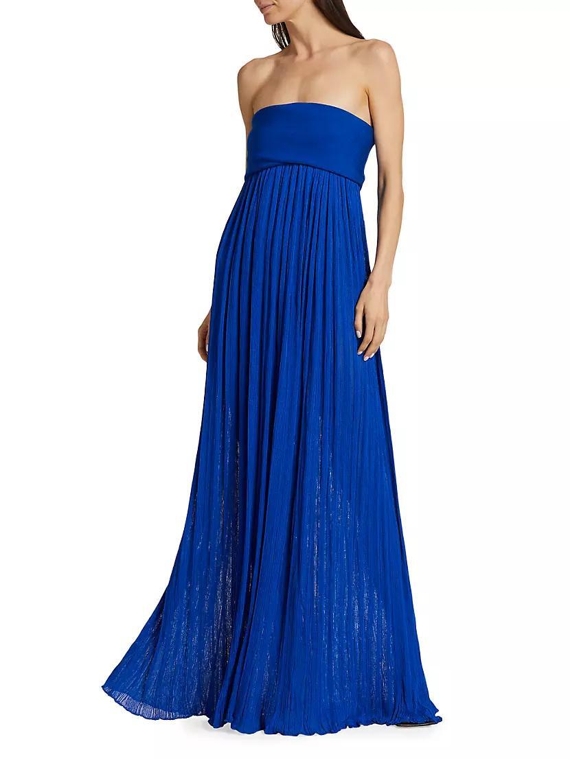 Glossy Knit Strapless Maxi Dress Product Image