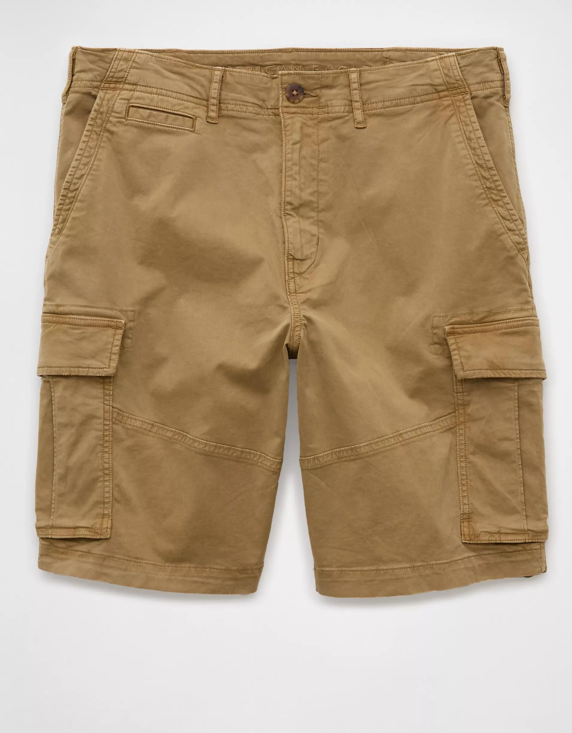 AE 10" Flex Lived-In Cargo Short Product Image