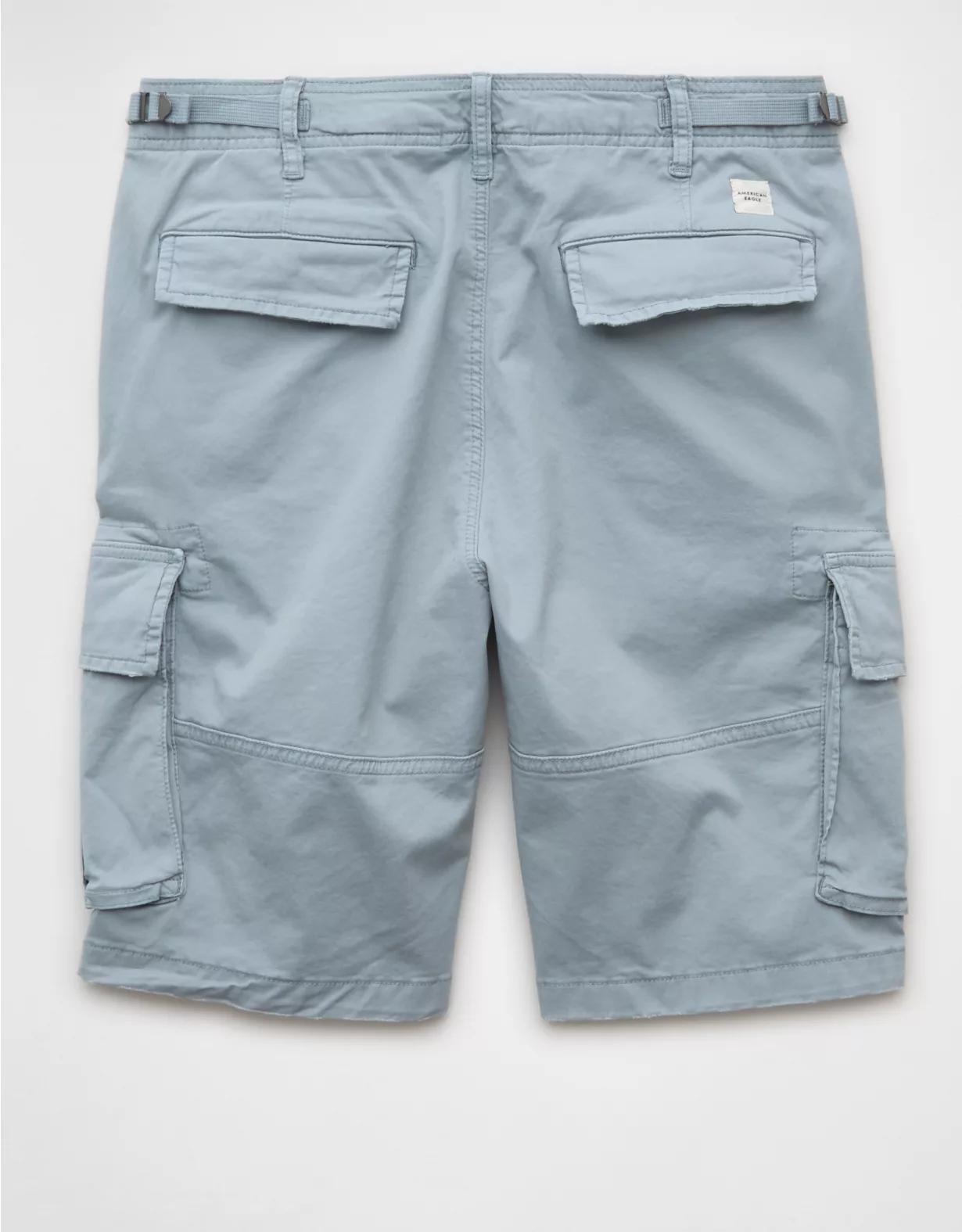 AE 10" Flex Lived-In Cargo Short Product Image
