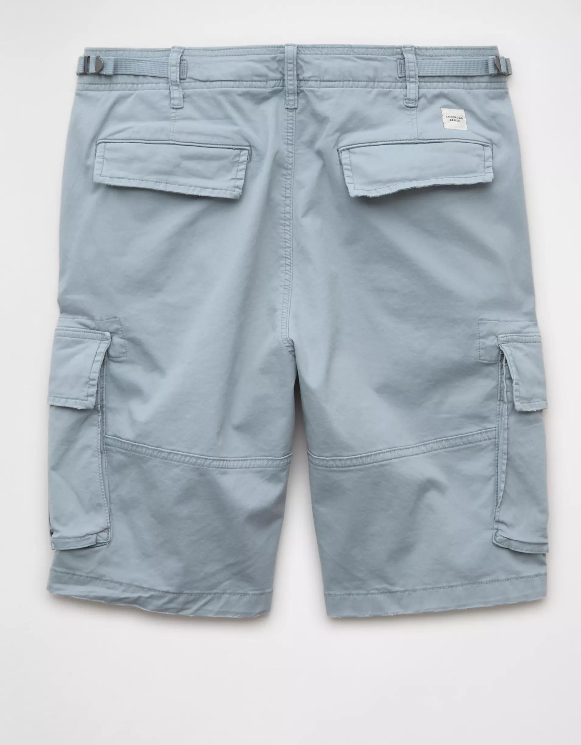 AE 10" Flex Lived-In Cargo Short Product Image