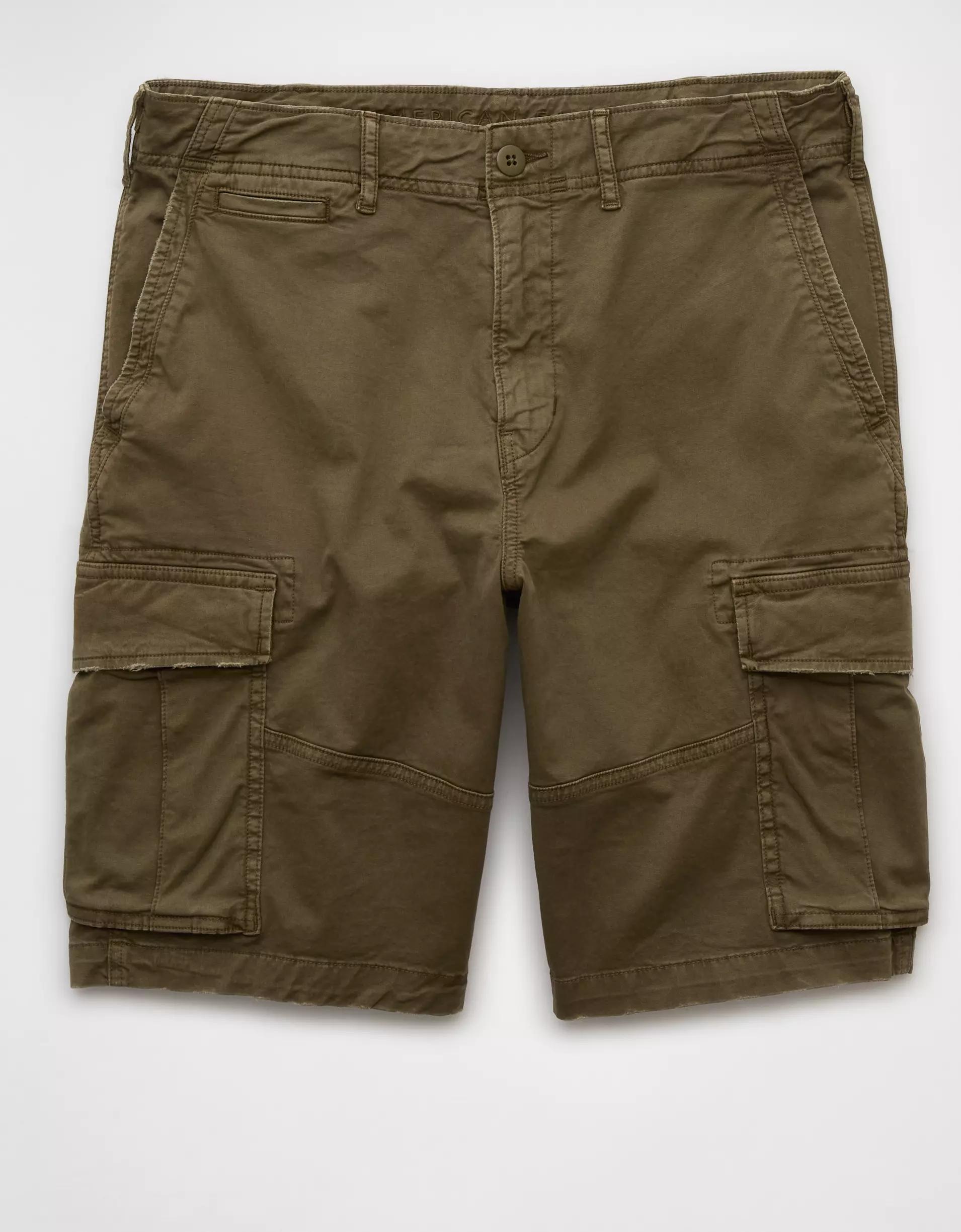 AE 12" Flex Lived-In Cargo Short Product Image