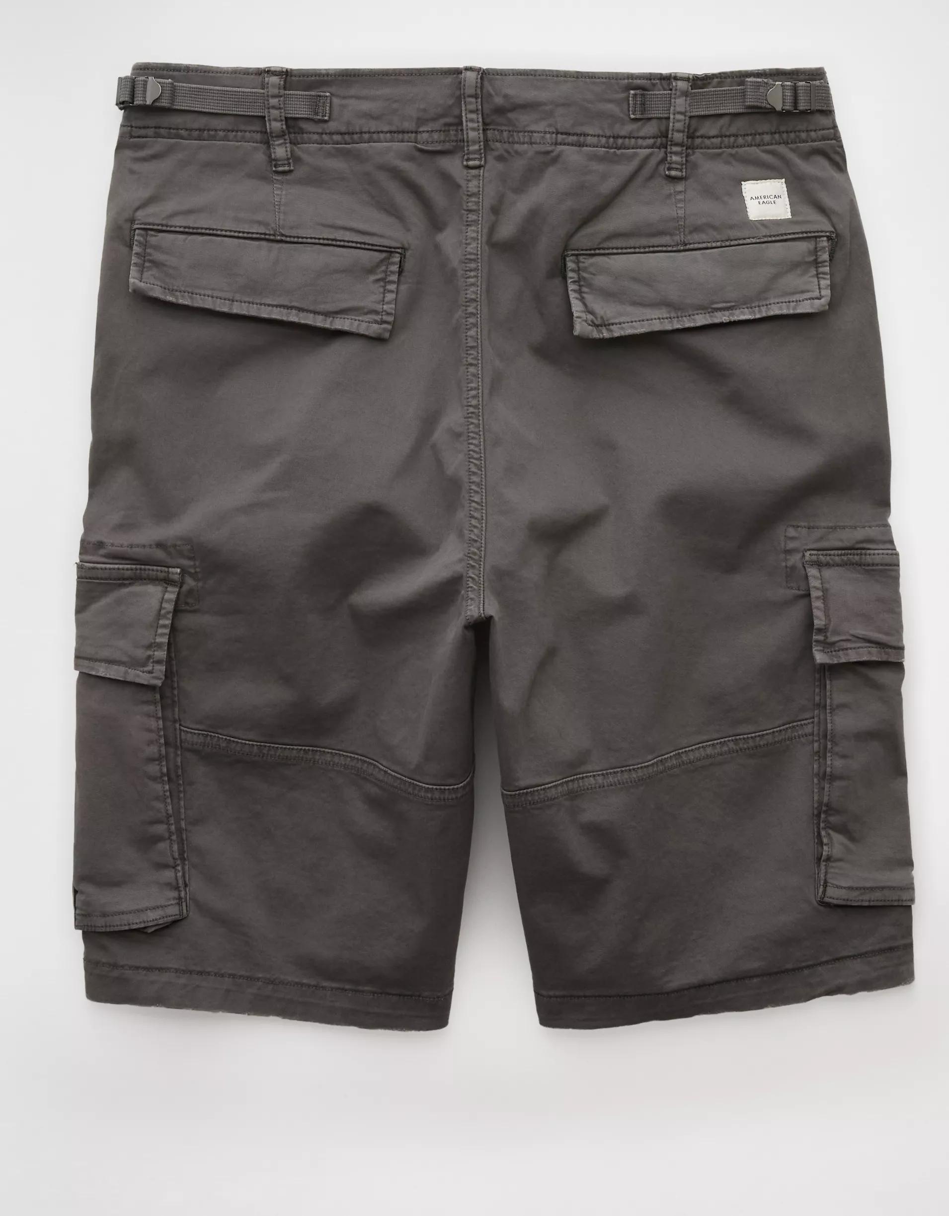 AE 10" Flex Lived-In Cargo Short Product Image