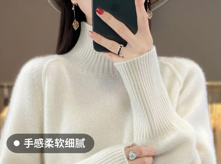 Turtleneck Plain Sweater Product Image