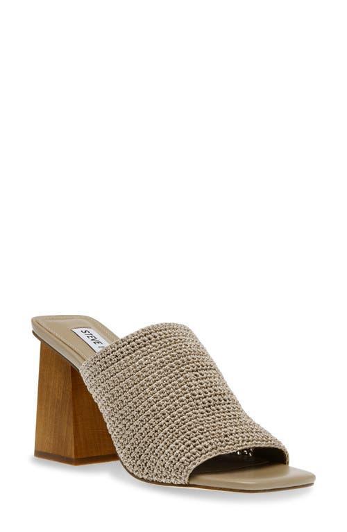 Realize Mule Steve Madden Product Image