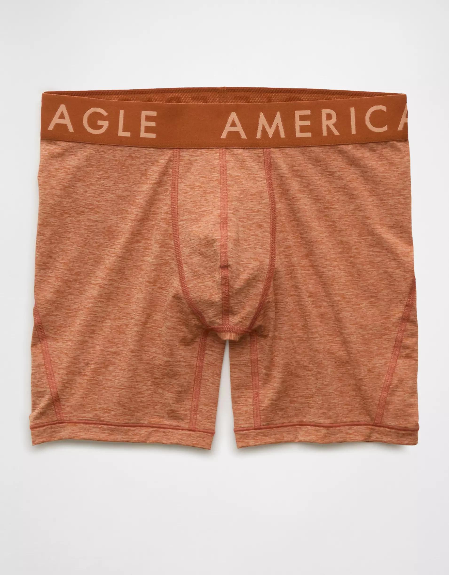AEO Men's Space Dye 6" Flex Boxer Brief Product Image
