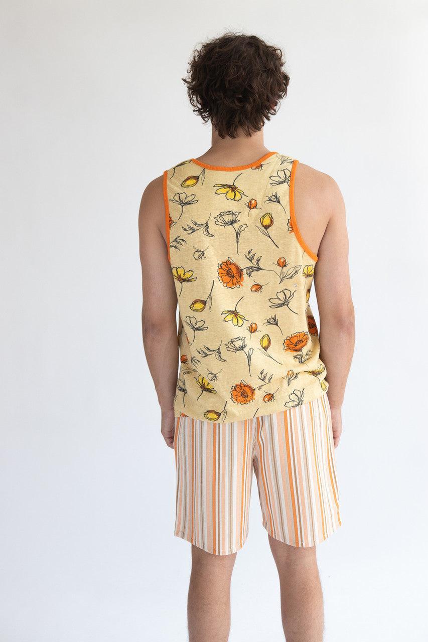 Striped Shorts Product Image