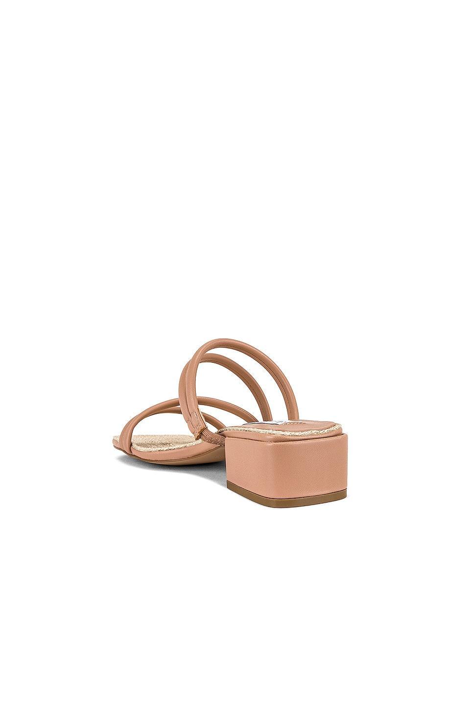 Citizen Sandal Steve Madden Product Image