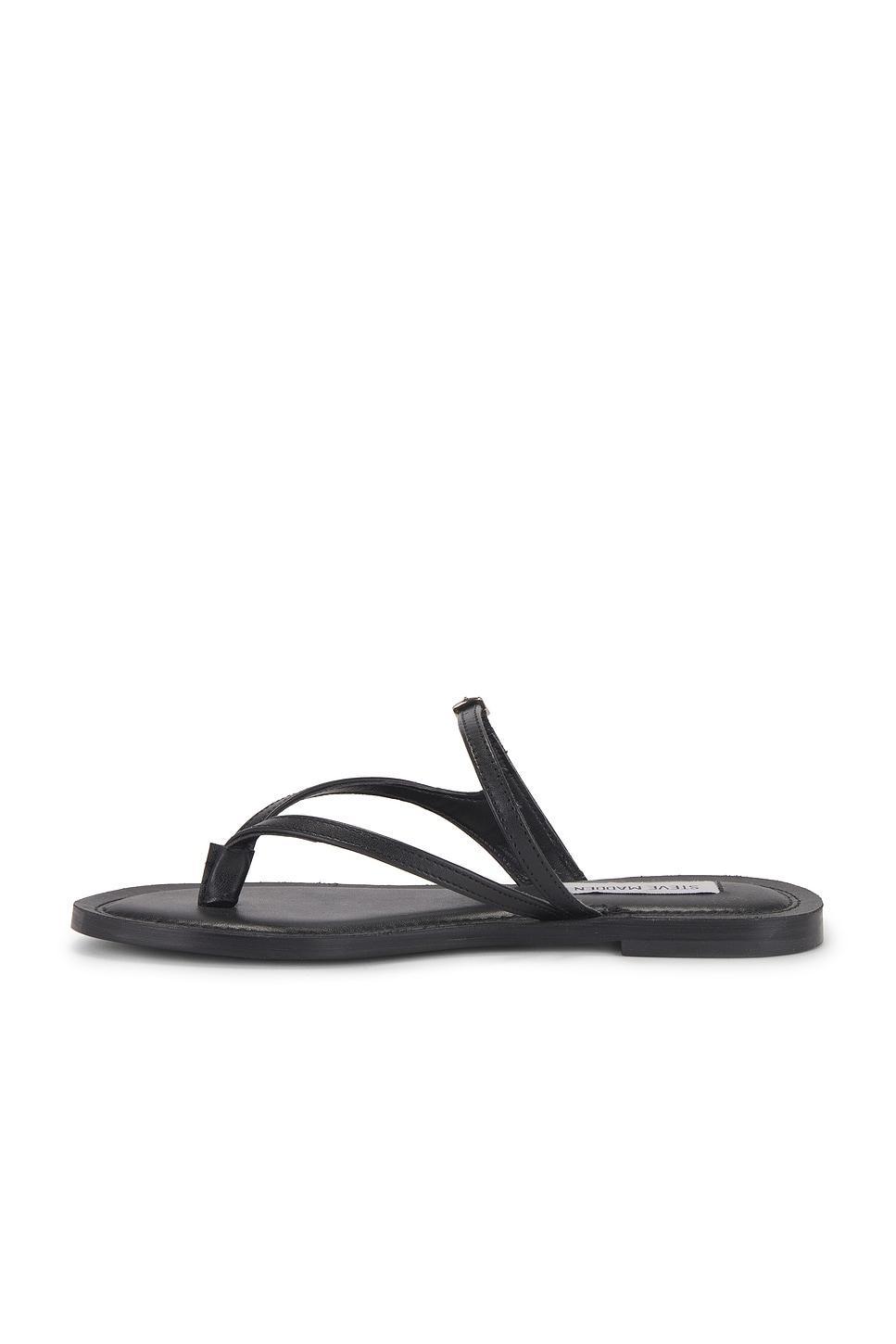 Roca Sandal Steve Madden Product Image