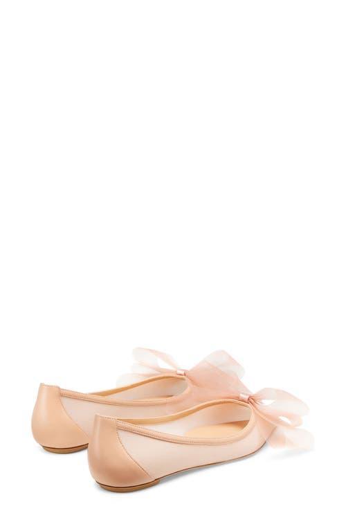 STUART WEITZMAN Blushing Bow Mesh Ballerina Flats In Ginger Product Image