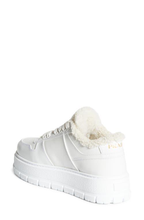 PRADA Logo Sport Genuine Shearling Lined Sneaker In White Product Image