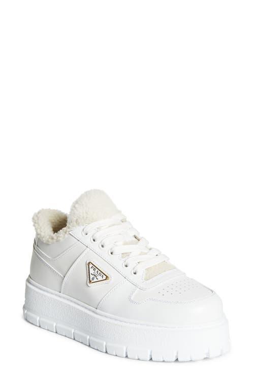 PRADA Logo Sport Genuine Shearling Lined Sneaker In White Product Image