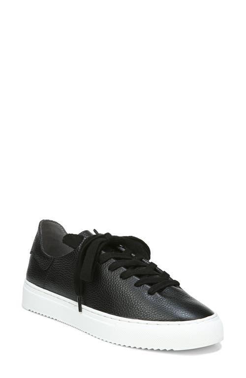 Sam Edelman Poppy Lace-Up Sneaker Leather Product Image