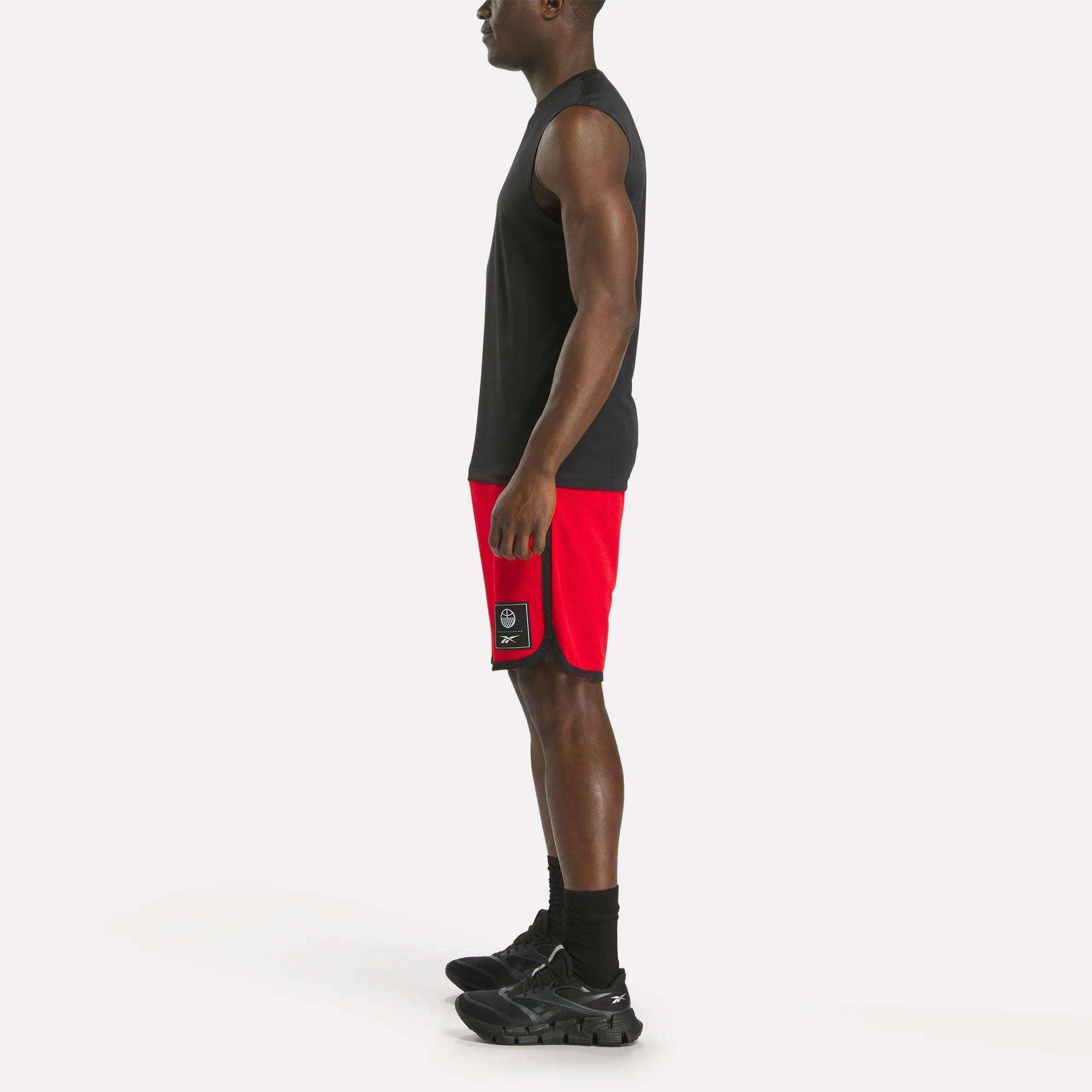 Men's Basketball Mesh Shorts Male Product Image