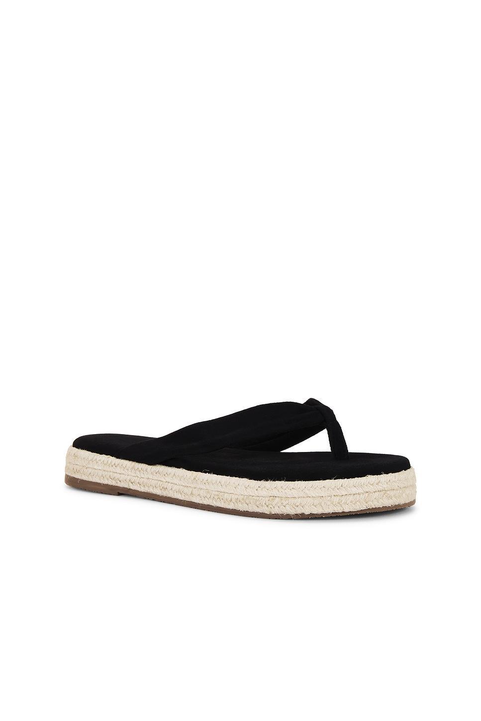 Hera Flip Flop TKEES Product Image