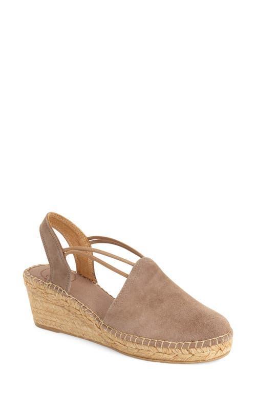 Toni Pons Tremp Suede) Women's Shoes Product Image