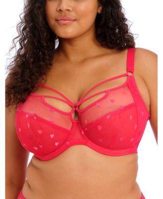 Sachi Cage Plunge Bra Product Image