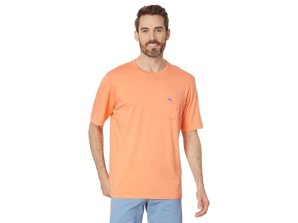 Tommy Bahama New Bali Skyline T-Shirt Men's Short Sleeve Pullover Product Image