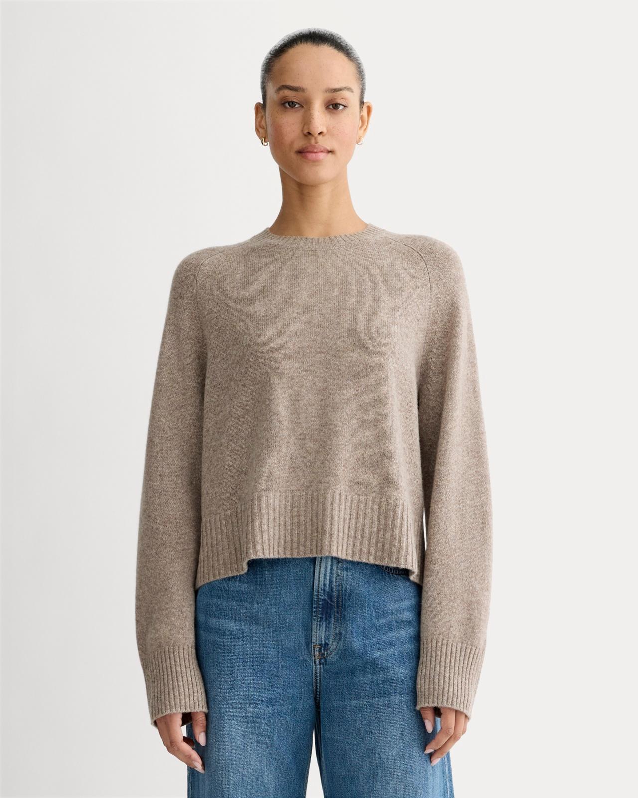 Womens Boxy Crew in Cashmere Sweater by Everlane Product Image
