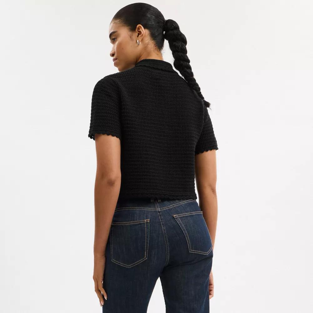 Knit Cropped Polo Product Image