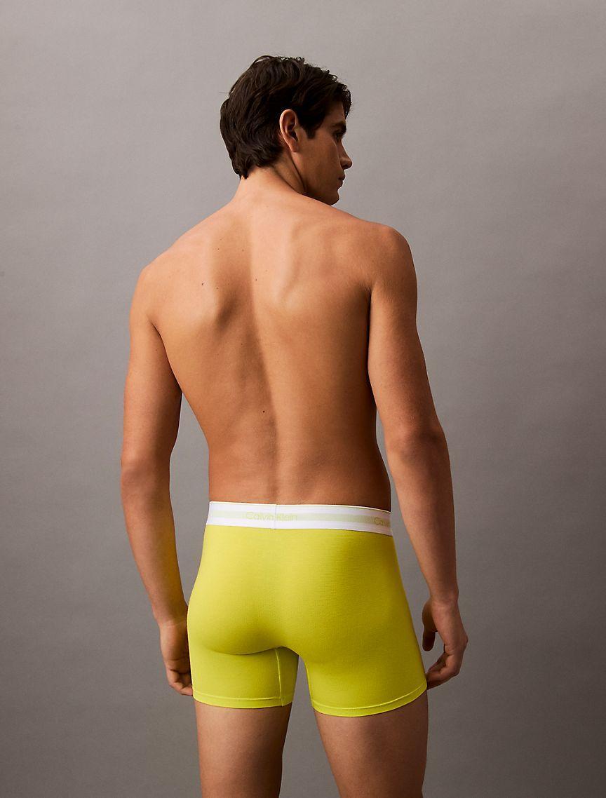 Icon Modal Mesh 3-Pack Boxer Brief Product Image