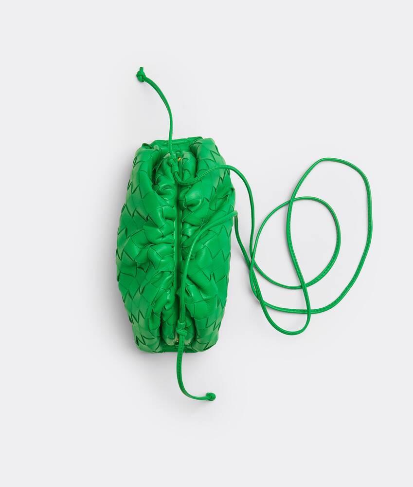 Mini Pouch in Parakeet Product Image