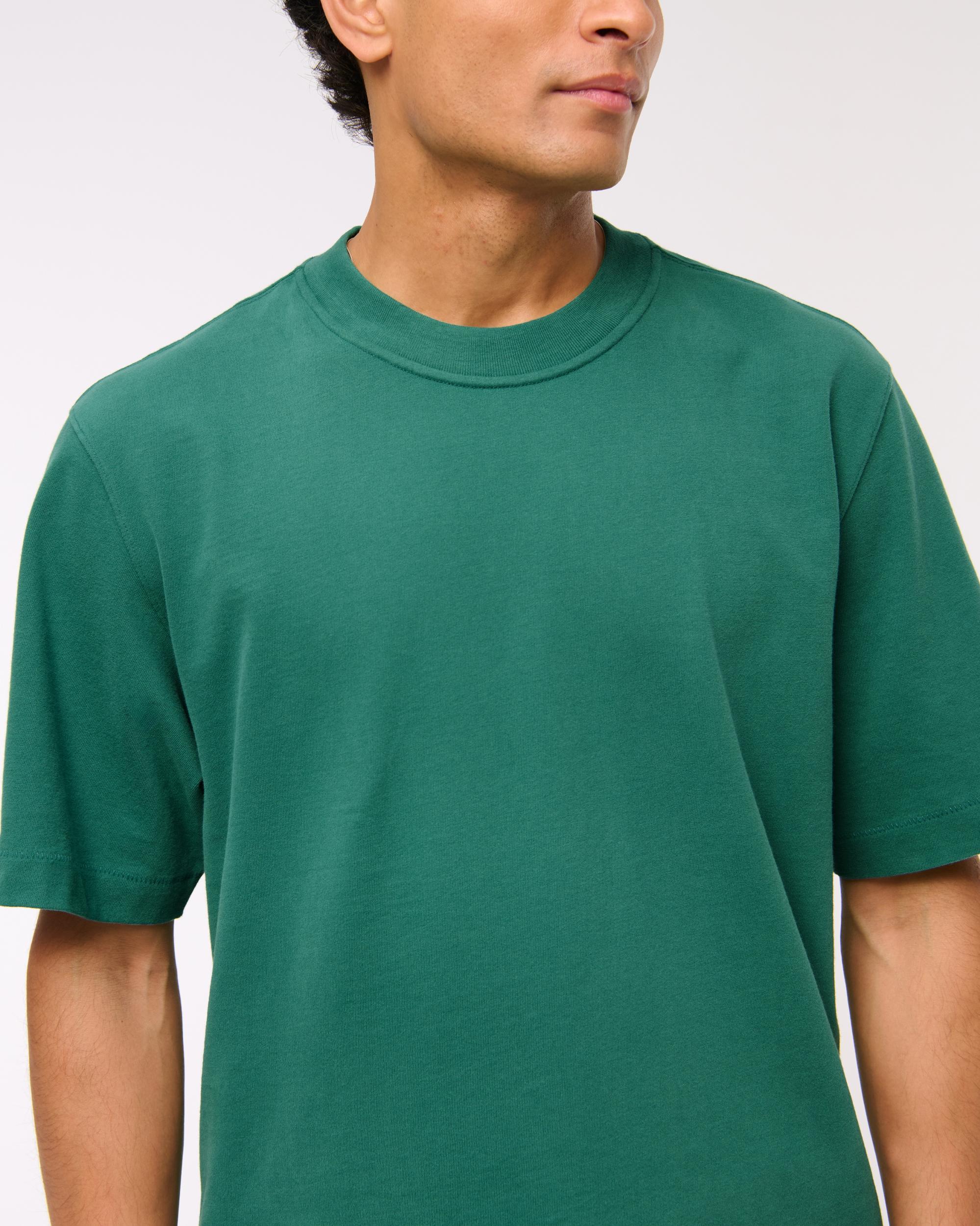 Premium Heavyweight 2.0 Tee Product Image